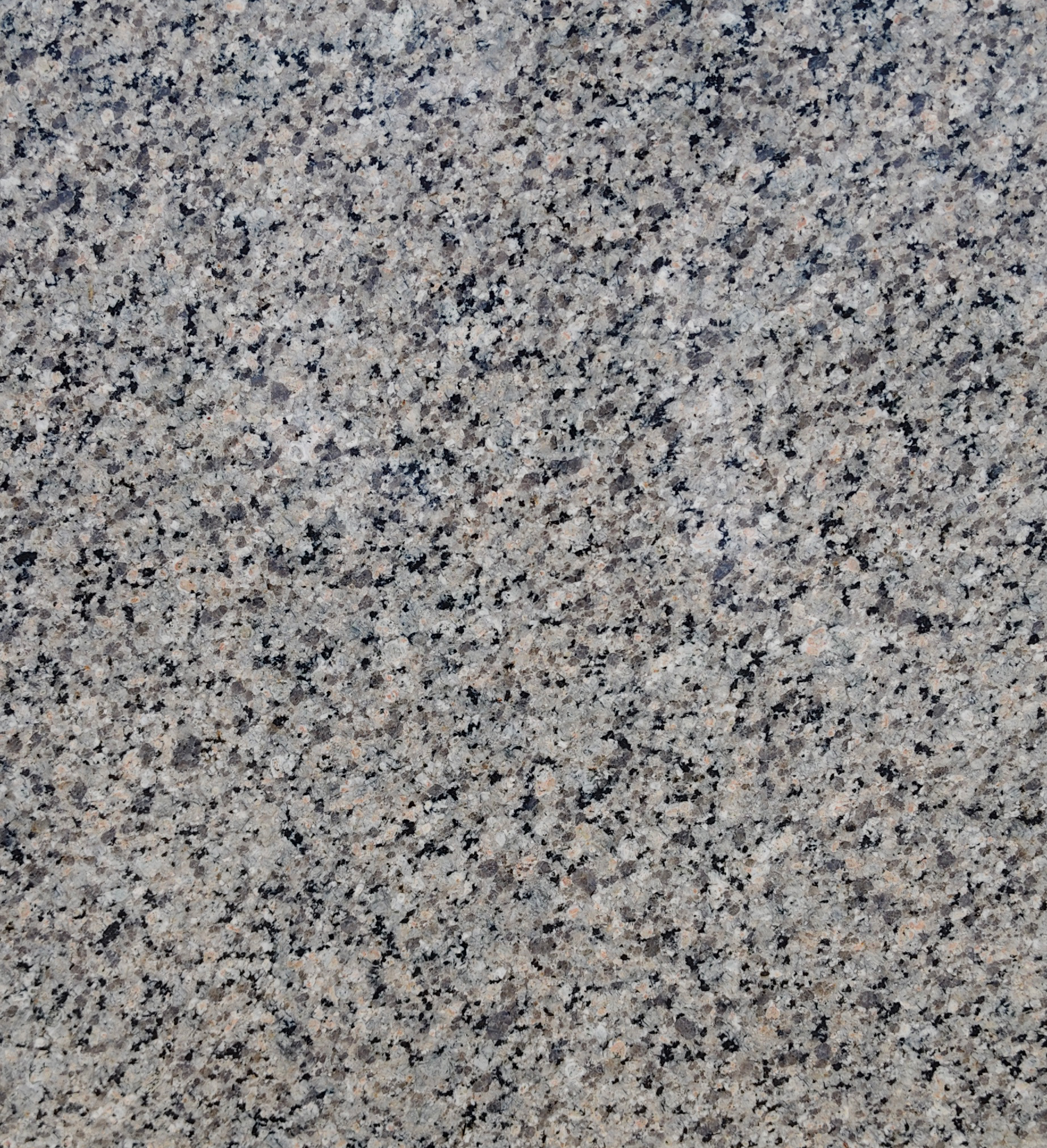 Asian Gray